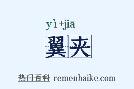 翼夹是什么意思的图片